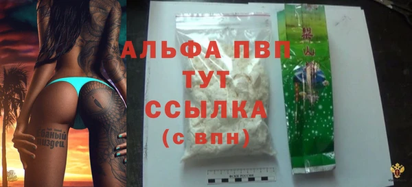 гашик Каменногорск