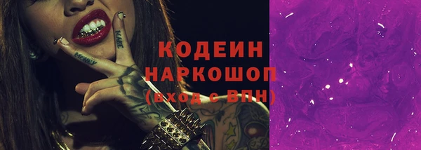 гашик Каменногорск