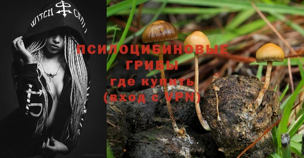гашик Каменногорск