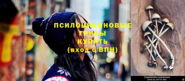 гашик Каменногорск