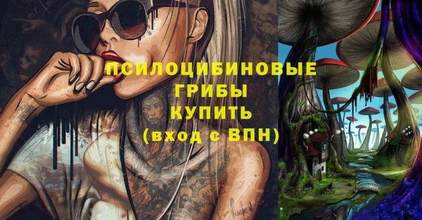 гашик Каменногорск