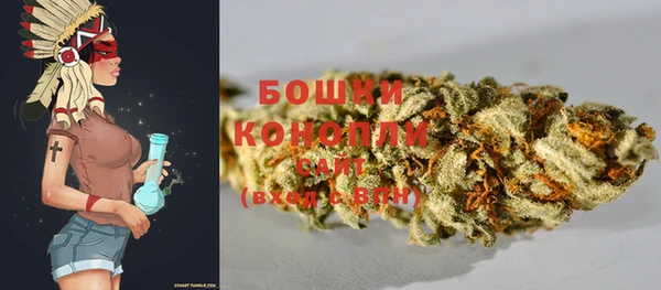 дмт Бронницы