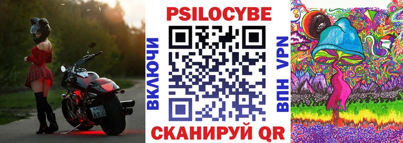 Псилоцибиновые грибы мухоморы  цены наркотик  Козловка 